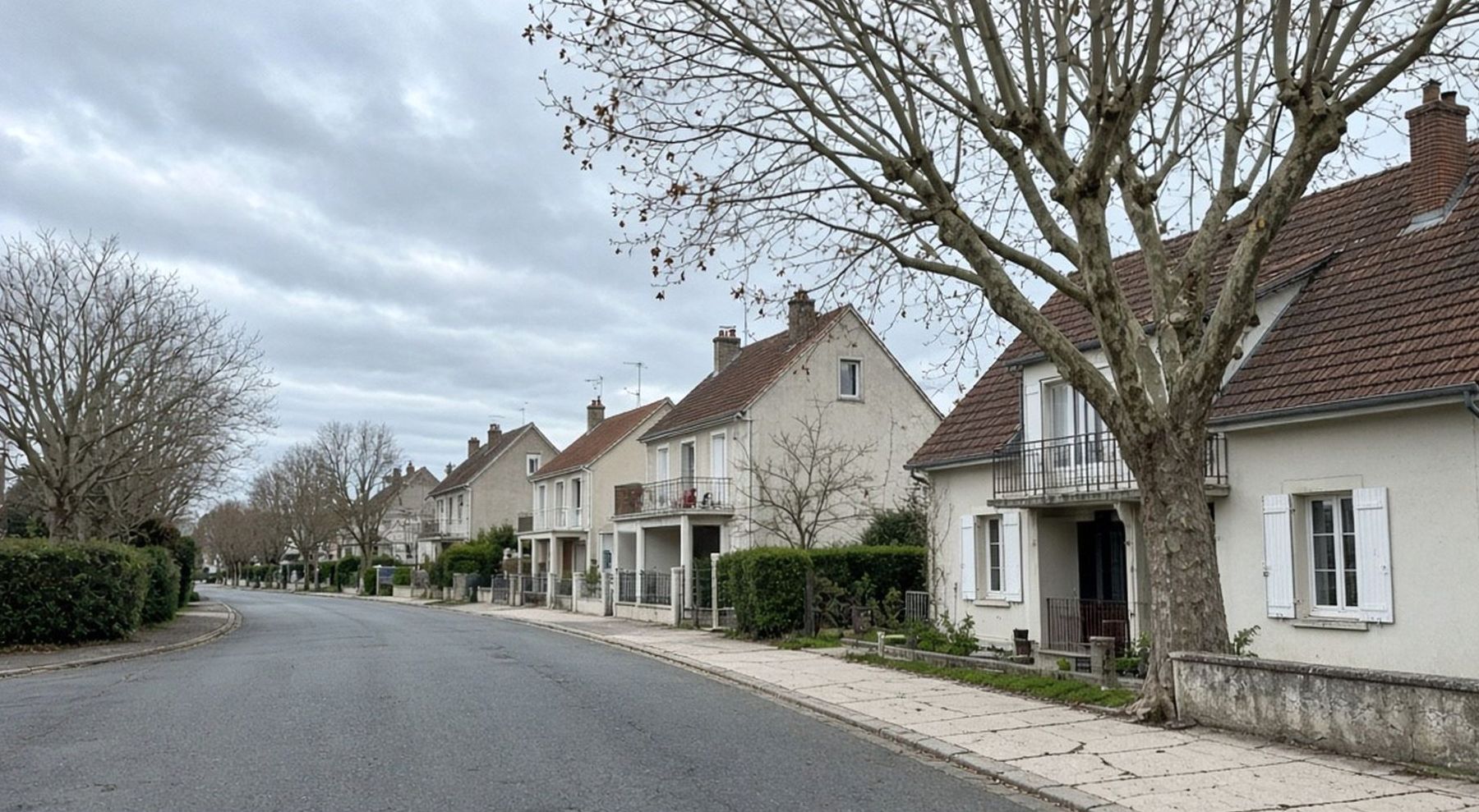 Rue Christophe Colomb, maisons pavillonnaires et arbres sans feuilles